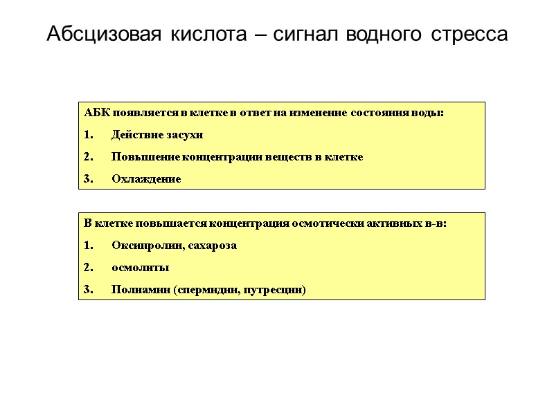 Абсцизовая кислота – сигнал водного стресса АБК появляется в клетке в ответ на изменение